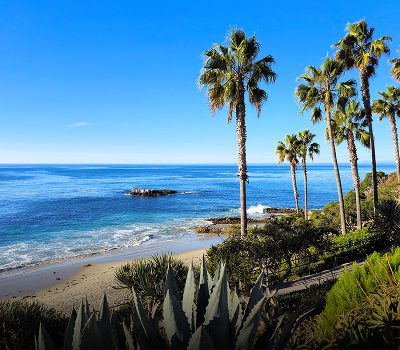 Orange County A sandy beach with palm trees, gentle waves, and a clear blue sky, with some greenery in the foreground and a small rocky outcrop in the ocean.